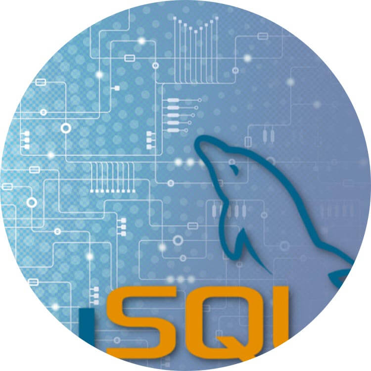 طراحی-سایت-28